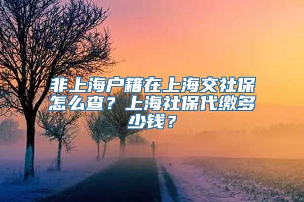 非上海户籍在上海交社保怎么查？上海社保代缴多少钱？