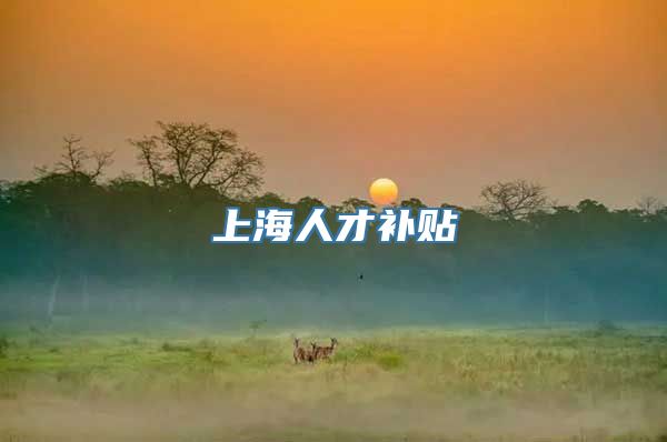 上海人才补贴