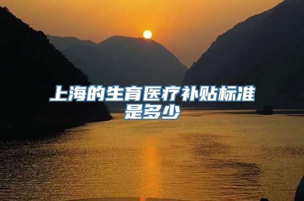 上海的生育医疗补贴标准是多少