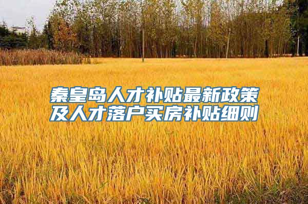 秦皇岛人才补贴最新政策及人才落户买房补贴细则