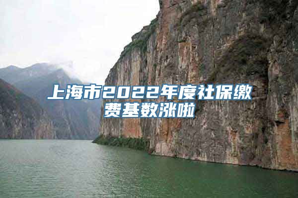 上海市2022年度社保缴费基数涨啦