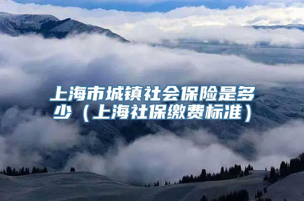 上海市城镇社会保险是多少（上海社保缴费标准）