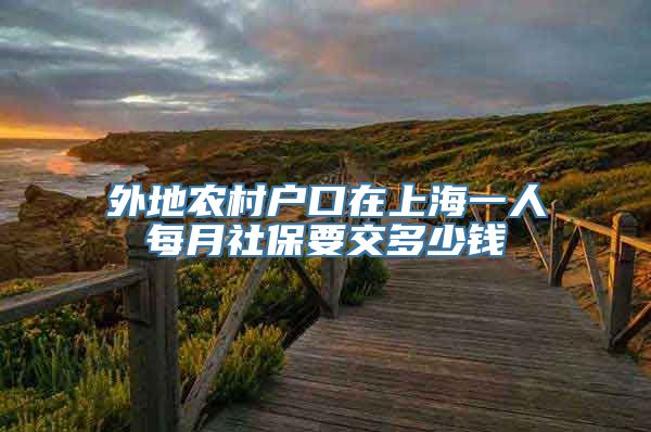 外地农村户口在上海一人每月社保要交多少钱