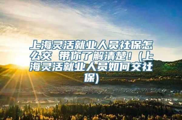 上海灵活就业人员社保怎么交 带你了解清楚！(上海灵活就业人员如何交社保)
