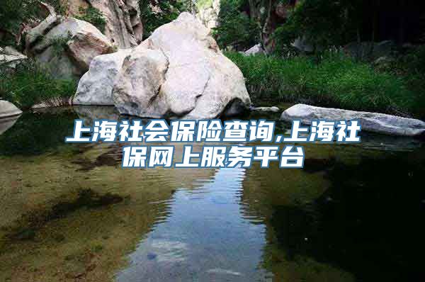 上海社会保险查询,上海社保网上服务平台