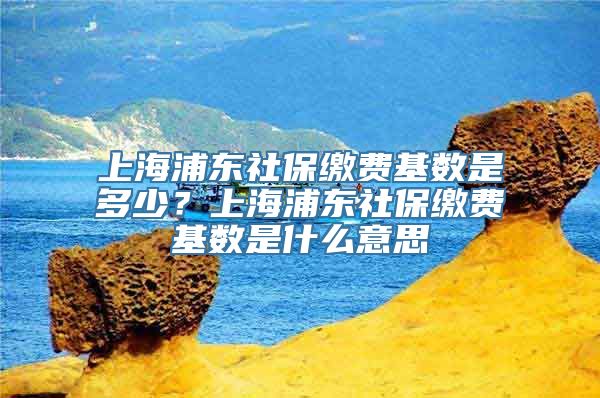 上海浦东社保缴费基数是多少？上海浦东社保缴费基数是什么意思