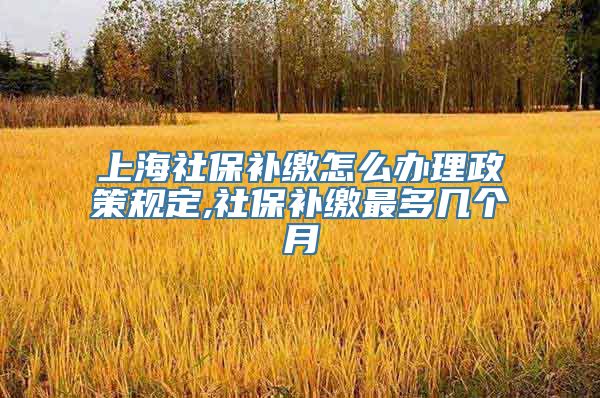 上海社保补缴怎么办理政策规定,社保补缴最多几个月