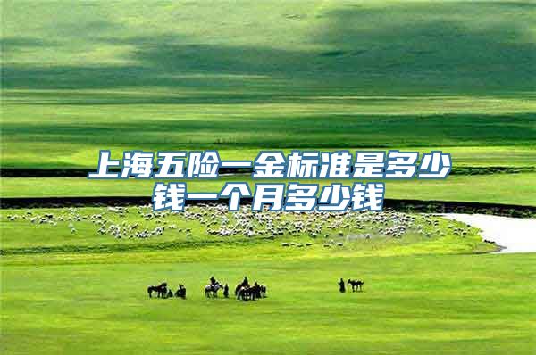 上海五险一金标准是多少钱一个月多少钱