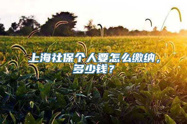 上海社保个人要怎么缴纳，多少钱？
