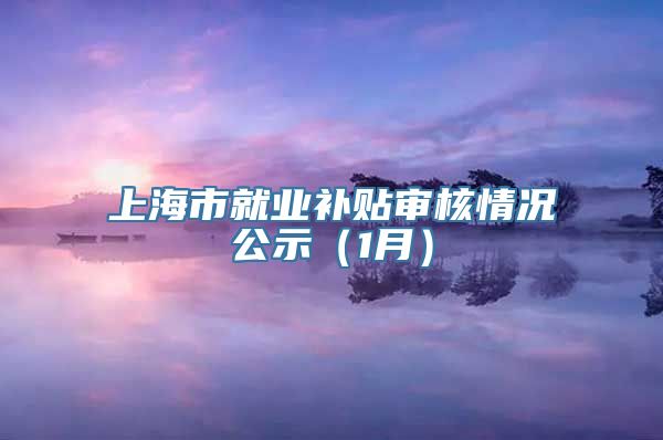 上海市就业补贴审核情况公示（1月）