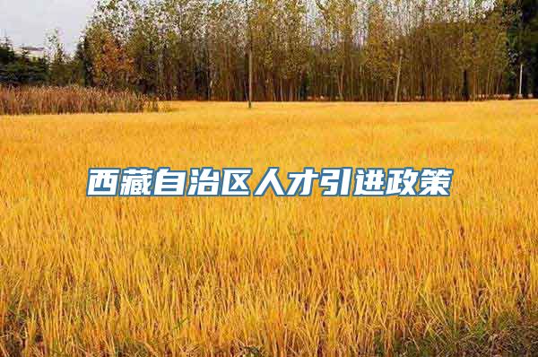 西藏自治区人才引进政策