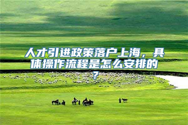 人才引进政策落户上海，具体操作流程是怎么安排的？