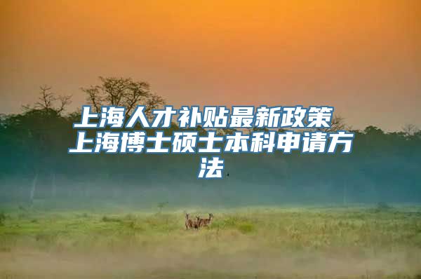 上海人才补贴最新政策 上海博士硕士本科申请方法