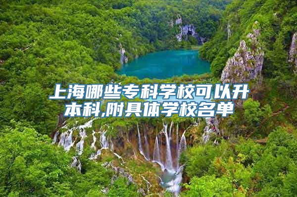 上海哪些专科学校可以升本科,附具体学校名单