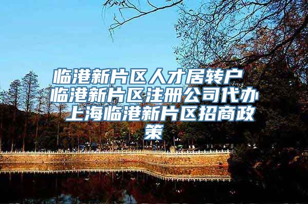 临港新片区人才居转户 临港新片区注册公司代办 上海临港新片区招商政策