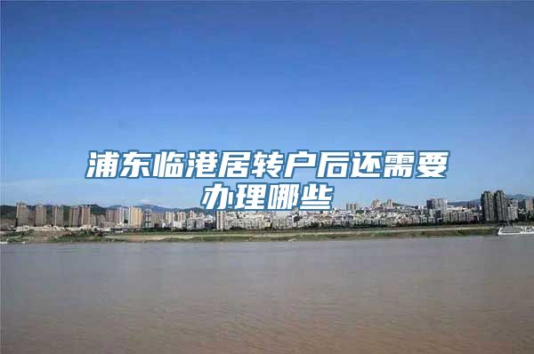 浦东临港居转户后还需要办理哪些
