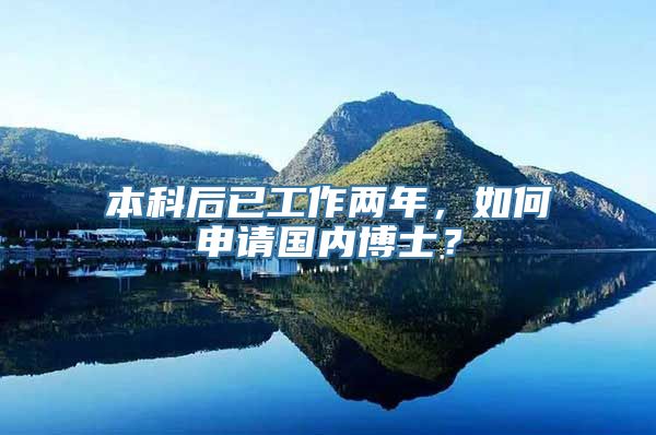 本科后已工作两年，如何申请国内博士？