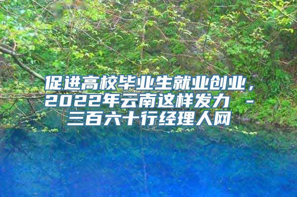 促进高校毕业生就业创业，2022年云南这样发力→－三百六十行经理人网
