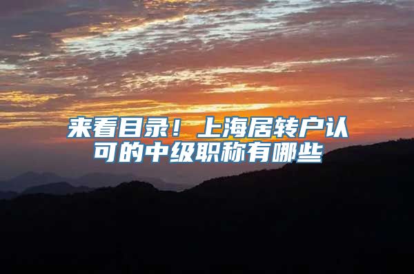 来看目录！上海居转户认可的中级职称有哪些