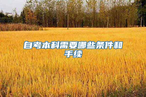 自考本科需要哪些条件和手续
