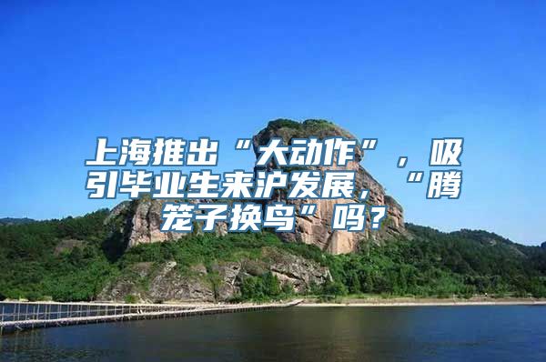 上海推出“大动作”，吸引毕业生来沪发展，“腾笼子换鸟”吗？