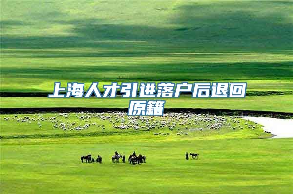 上海人才引进落户后退回原籍