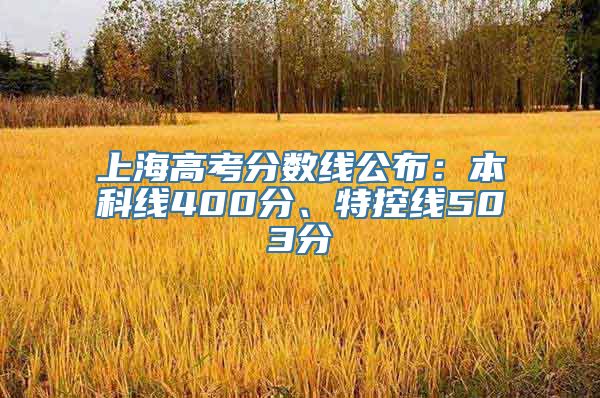 上海高考分数线公布：本科线400分、特控线503分