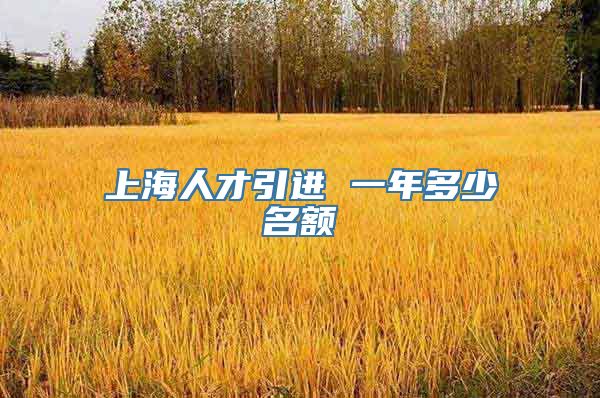 上海人才引进 一年多少名额