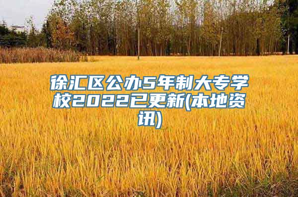 徐汇区公办5年制大专学校2022已更新(本地资讯)