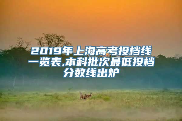2019年上海高考投档线一览表,本科批次最低投档分数线出炉