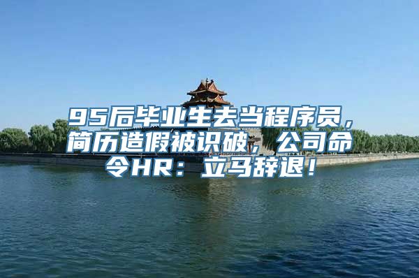 95后毕业生去当程序员，简历造假被识破，公司命令HR：立马辞退！