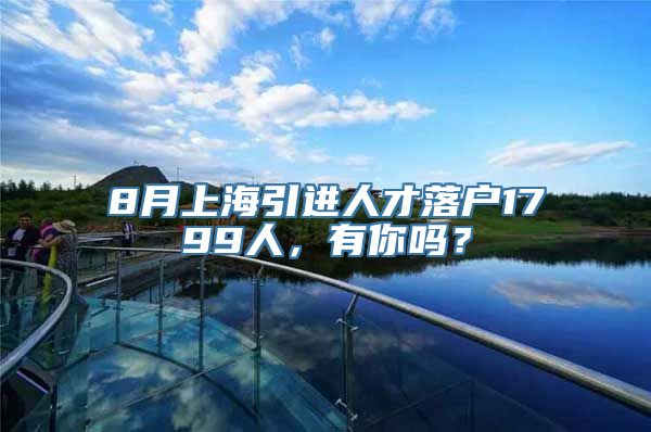 8月上海引进人才落户1799人，有你吗？