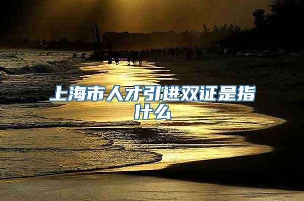 上海市人才引进双证是指什么