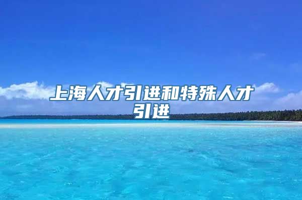 上海人才引进和特殊人才引进