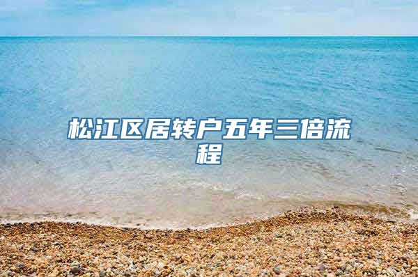 松江区居转户五年三倍流程