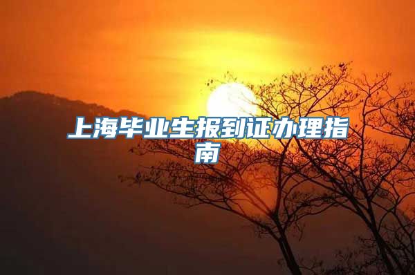 上海毕业生报到证办理指南