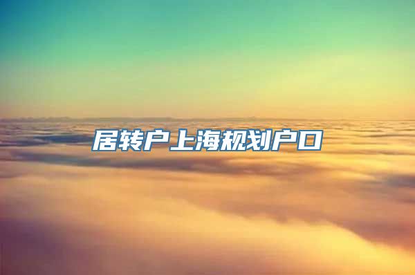 居转户上海规划户口