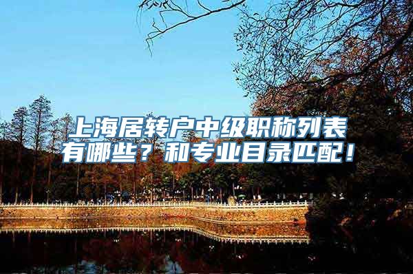 上海居转户中级职称列表有哪些？和专业目录匹配！
